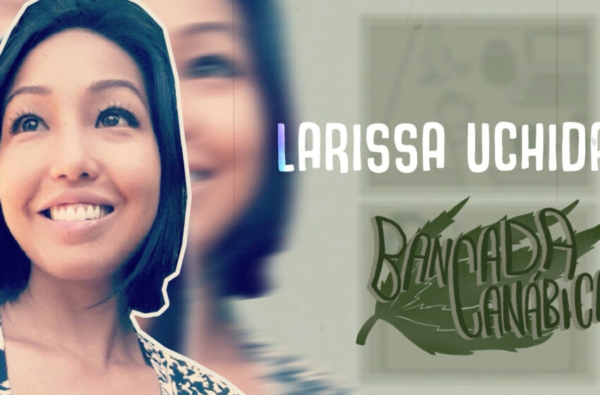  Bancada Canábica #04 // Larissa Uchida