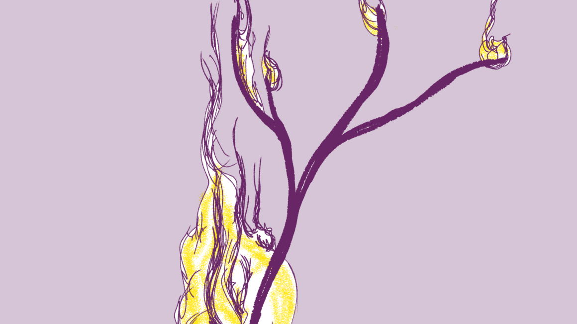 O impacto dos incêndios sobre as comunidades tradicionais pantaneiras Badaró | Gleice Jane