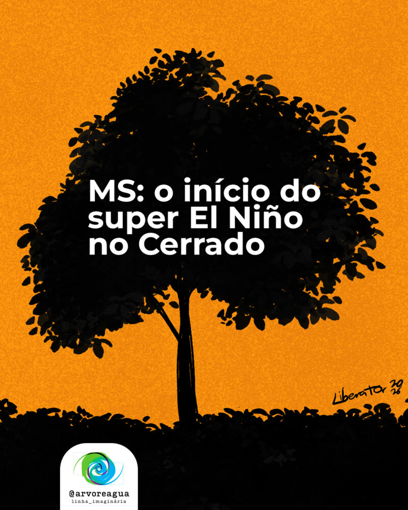 MS: o início do super El Niño no Cerrado