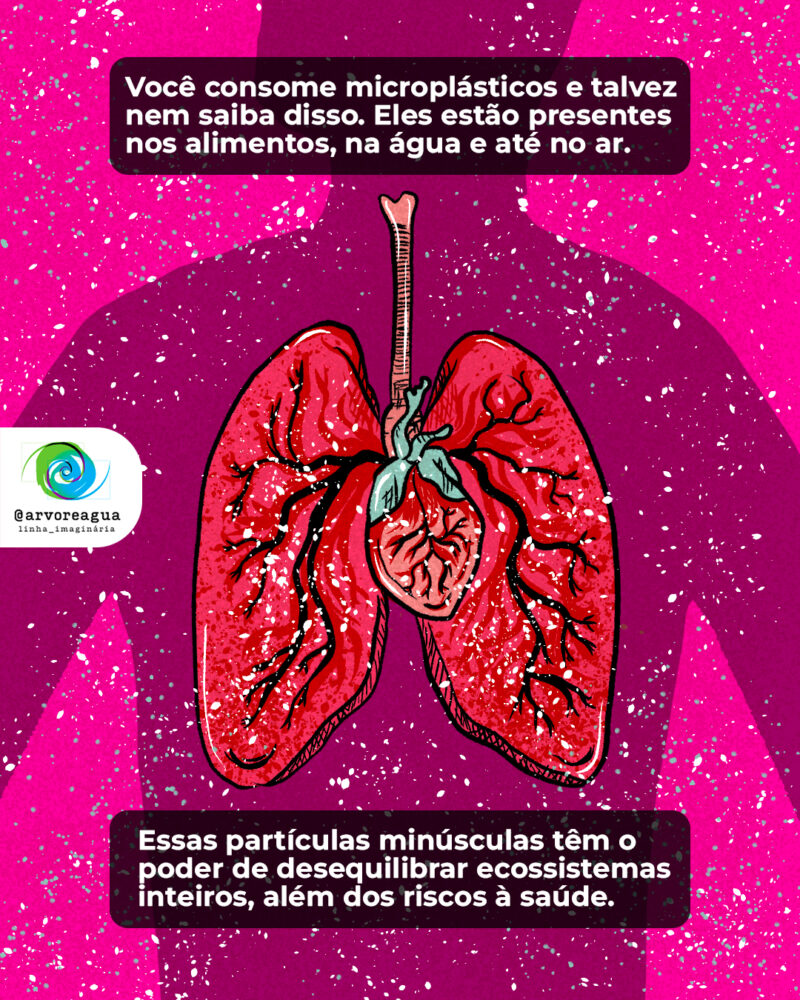 Você consome microplásticos e talvez nem saiba disso. Eles estão presentes nos alimentos, na água e até no ar que respiramos. Essas partículas minúsculas têm o poder de desequilibrar ecossistemas inteiros, além dos riscos à saúde.
